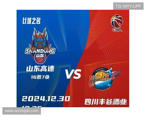 辽宁与山东的精彩对决完整版回顾及赛后分析全景呈现