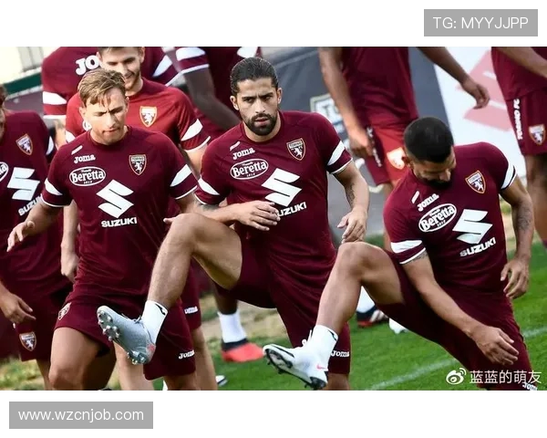 都灵与国米精彩对决视频直播全程回顾与分析